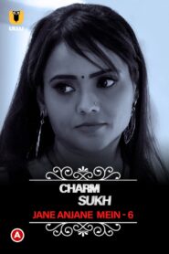 Charmsukh – Jane Anjane Mein 6