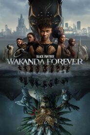 Czarna Pantera: Wakanda na zawsze